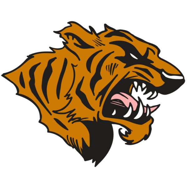 AR5 TIGER 08 RQC Thumbnail